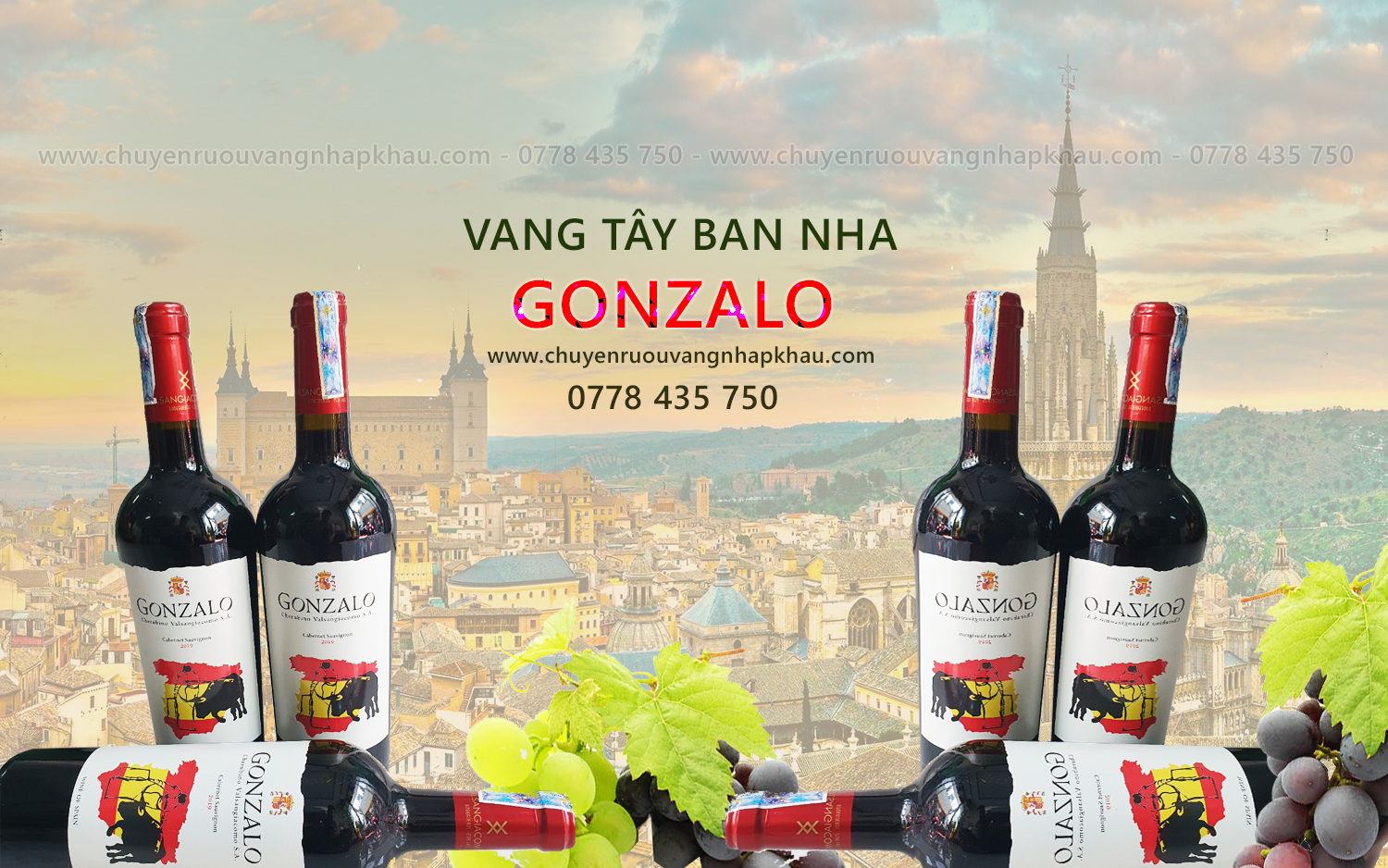 Rượu vang Tây Ban Nha Gonzalo