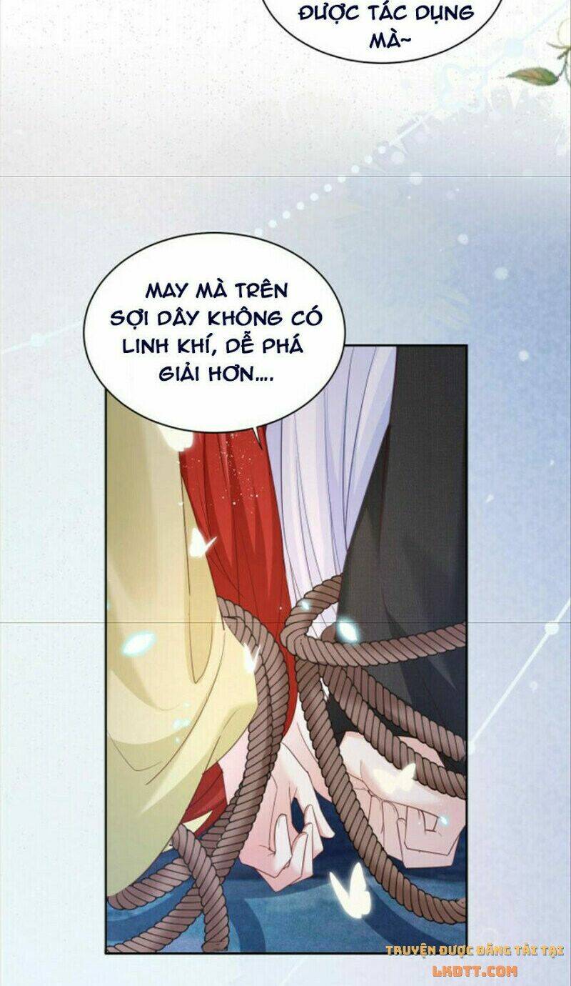 hắc hóa nam chính trực tuyến nuôi thỏ chapter 51 32