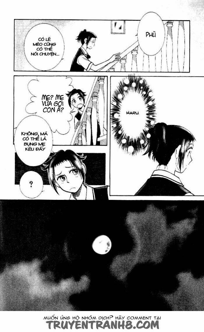 mimi wo sumaseba - lời thì thầm từ trái tim chapter 6 20