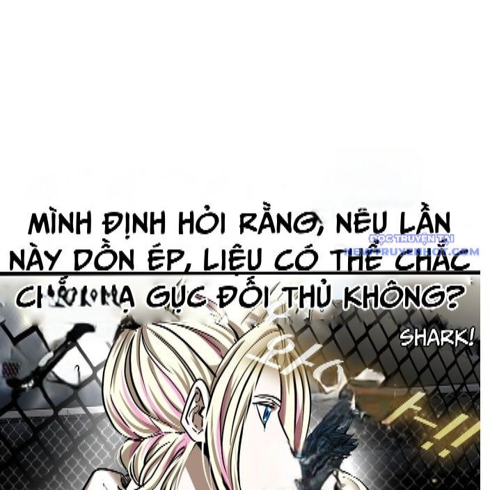 shark - cá mập chapter 336 48