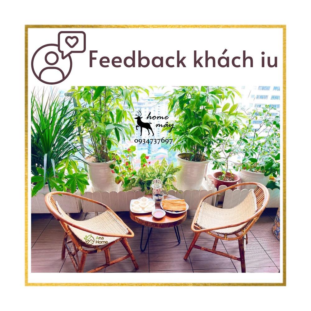 Ghế mây con sò chắc chắn chuẩn kích thước để ban công Homestay