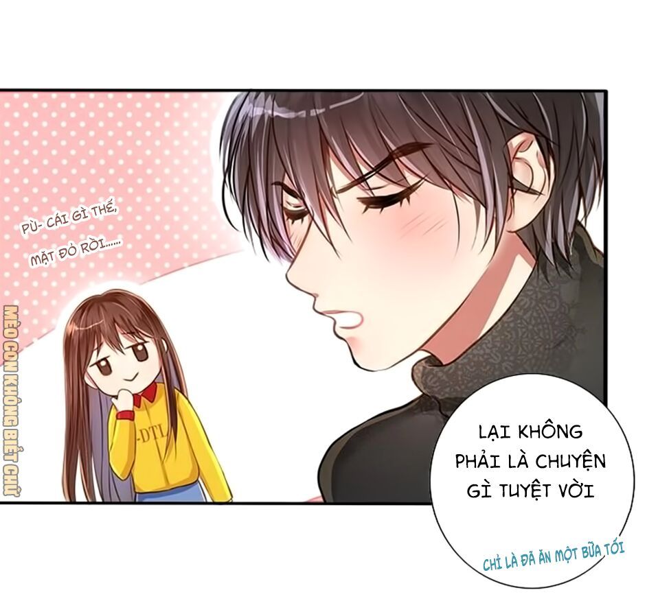 không có ssr làm sao để yêu chapter 12 4