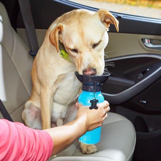 Auto Dog Mug - Bình nước du lịch di động tự động cho cún mèo