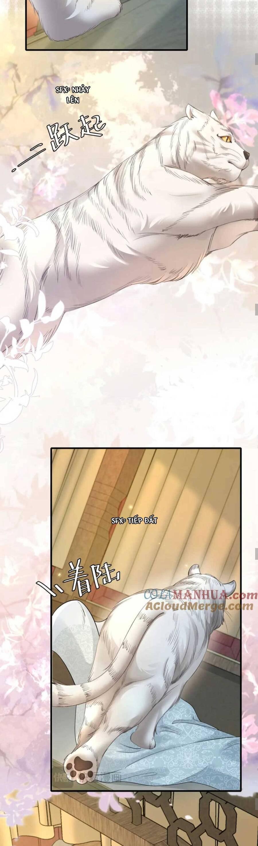 phương thức sinh tồn của công chúa pháo hôi chapter 195 18