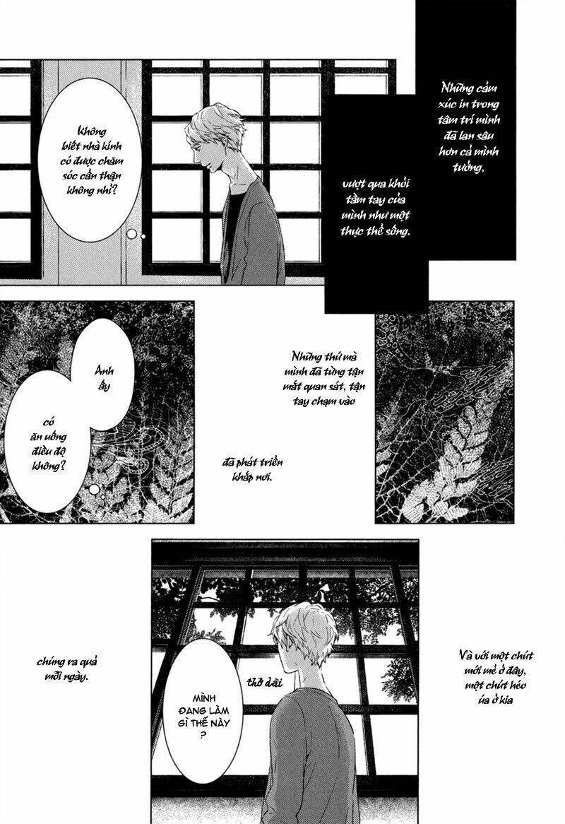 tsumasaki ni kourozu chapter 3 10