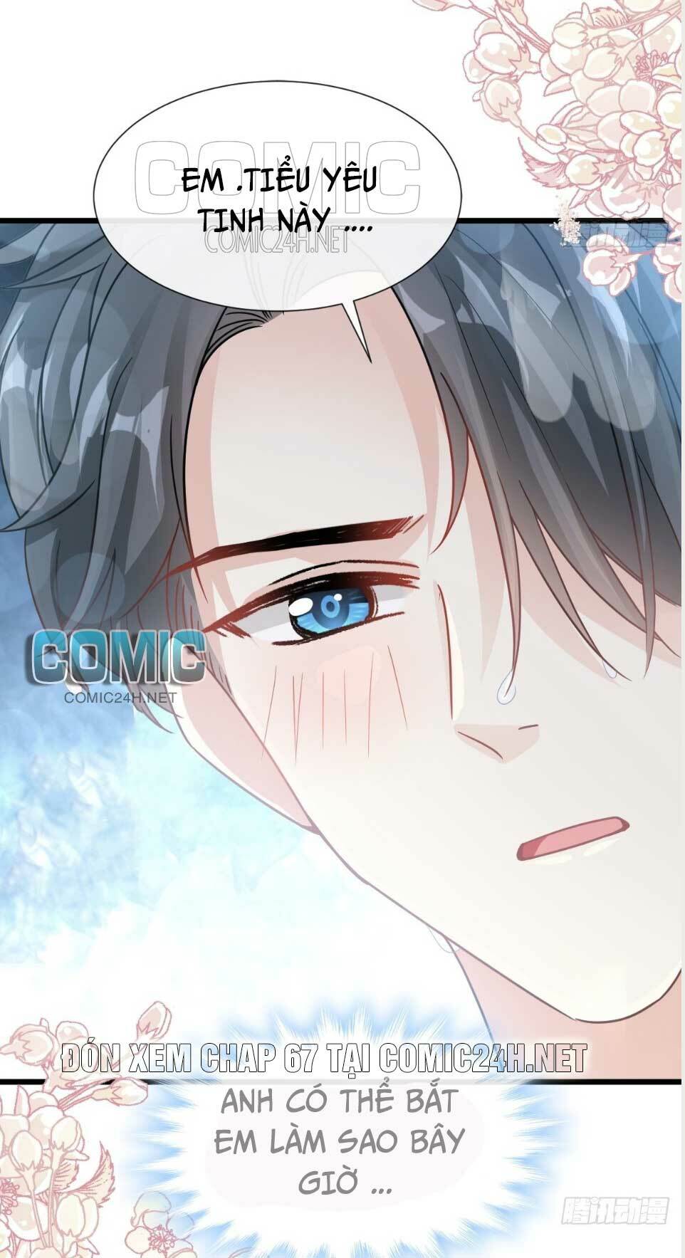 bá đạo tổng tài nhẹ nhàng yêu chapter 66.2 17