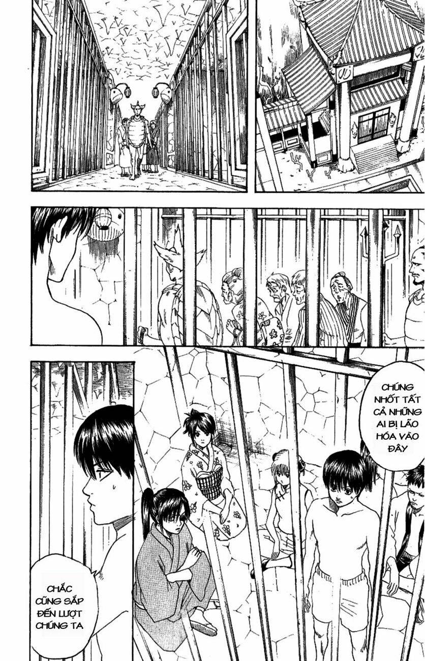gintama - linh hồn bạc chapter 177 4
