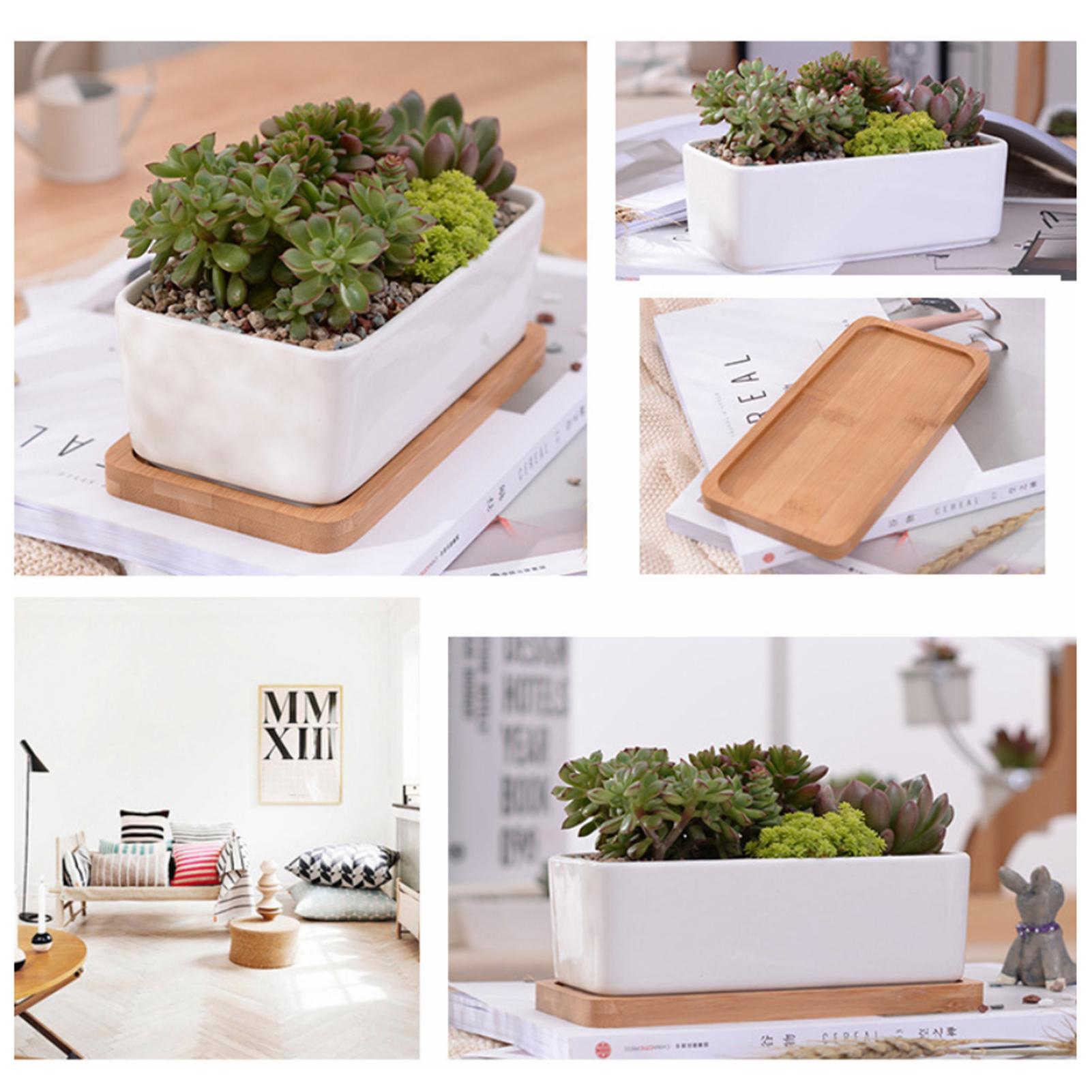 Chậu hoa bằng gốm hình chữ nhật màu trắng có khay tre để trang trí bàn làm việc