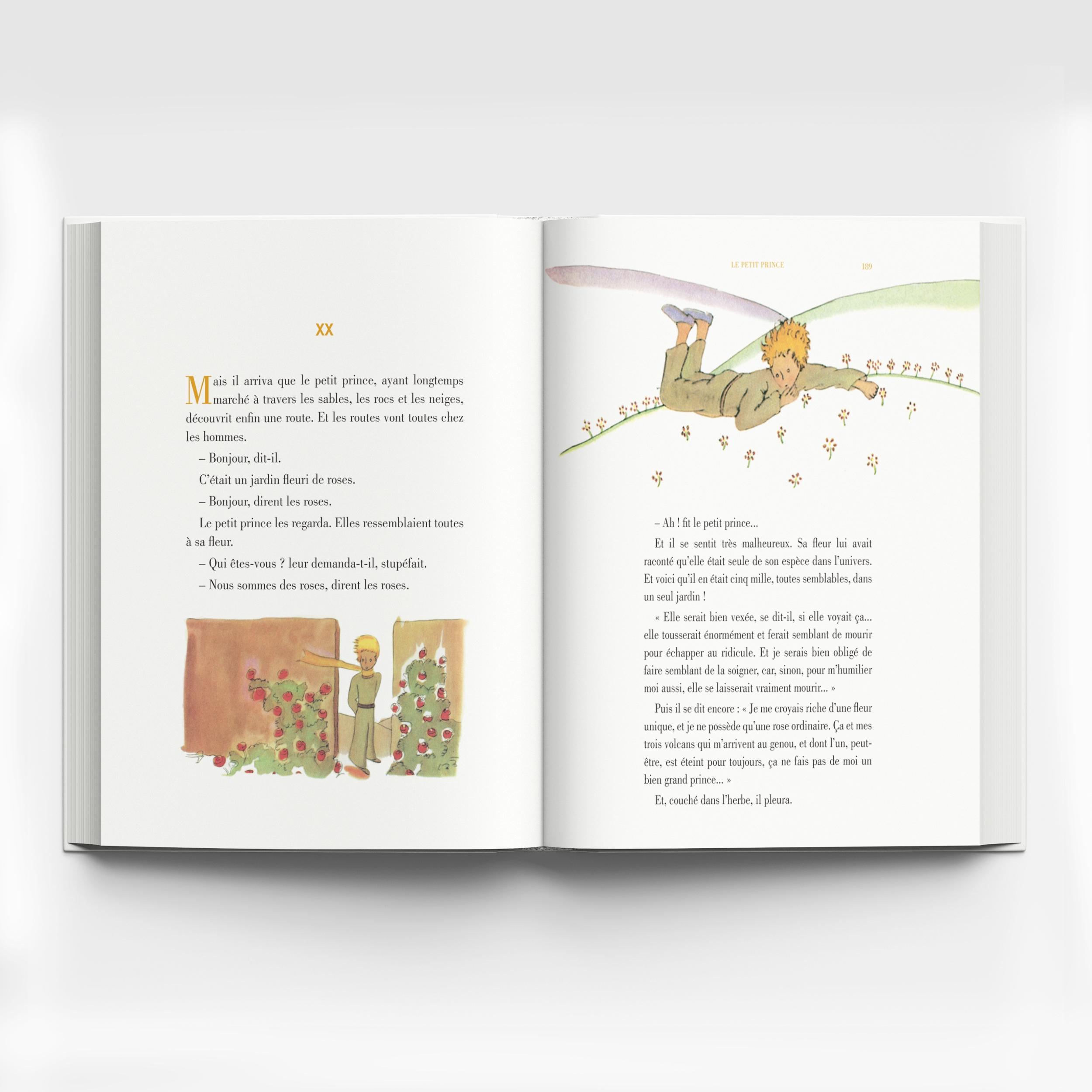 Hoàng Tử Bé - Le Petit Prince (Song Ngữ Việt - Pháp)