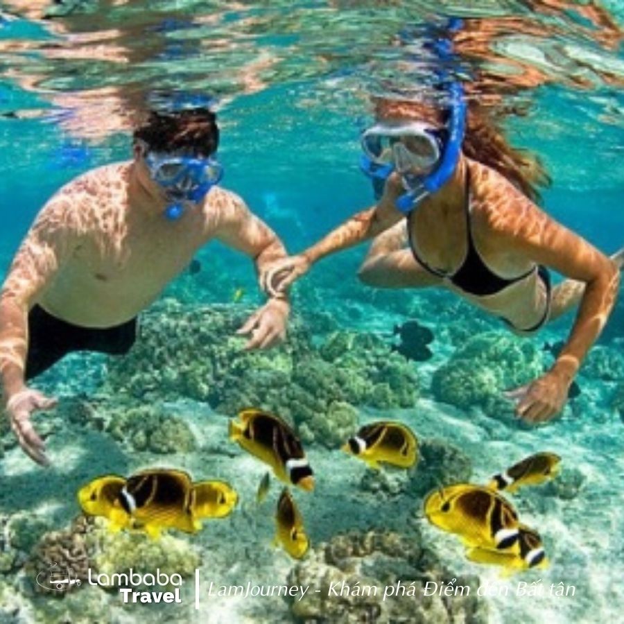 Tour Đà Nẵng Tour Cù Lao Chàm và lặn ngắm san hô 1 ngày