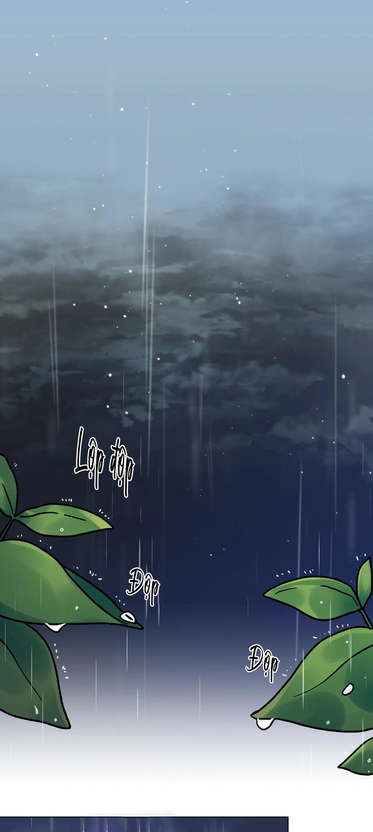 cơn mưa rào mùa hạ chapter 13 30