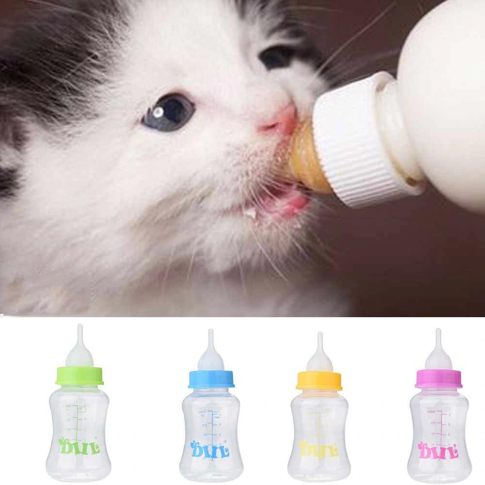 Bình sữa cho chó mèo con mới sinh