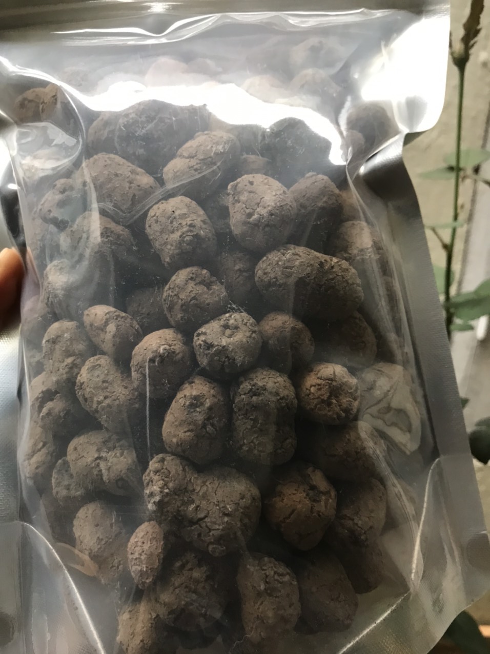 1Kg Sỏi trồng thủy canh, sỏi nhẹ, viên đất nung trồng cây