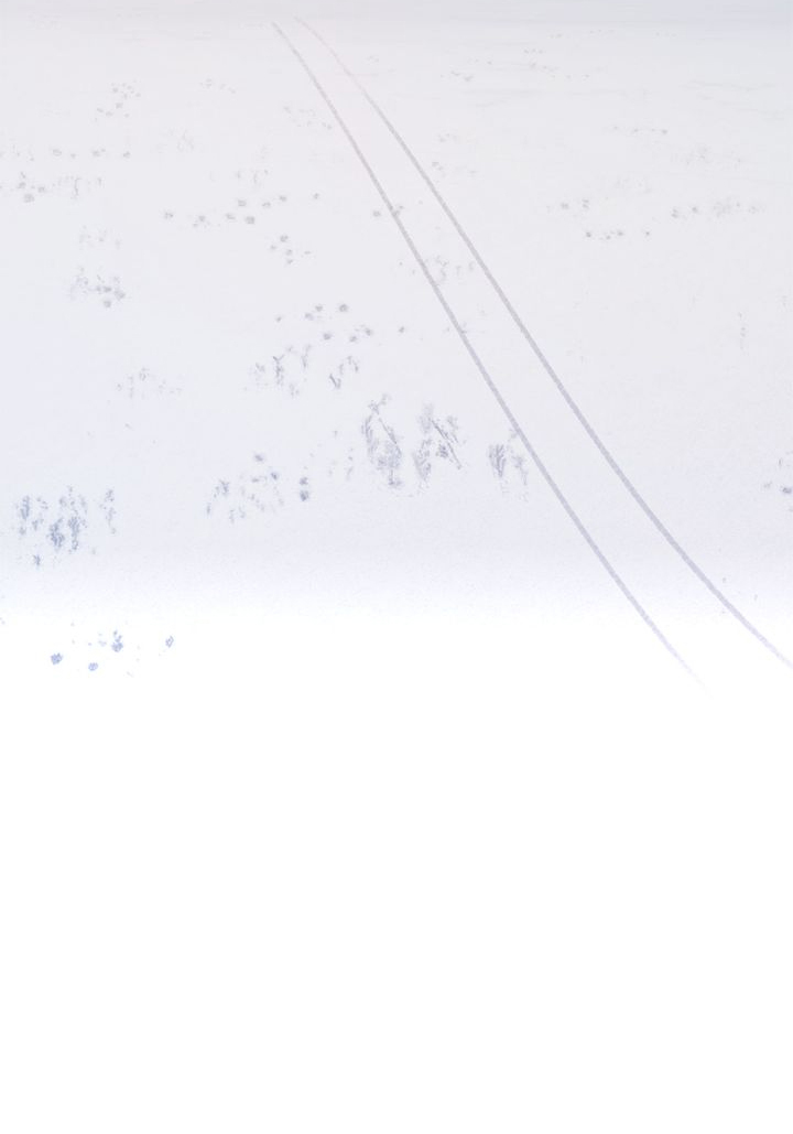 hãy nghe lời của tôi chapter 80 14