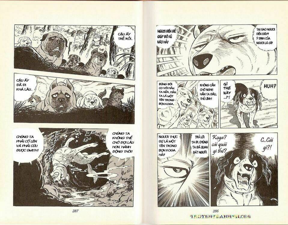 chú chó có nghĩa - ginga nagareboshi gin chapter 18 11
