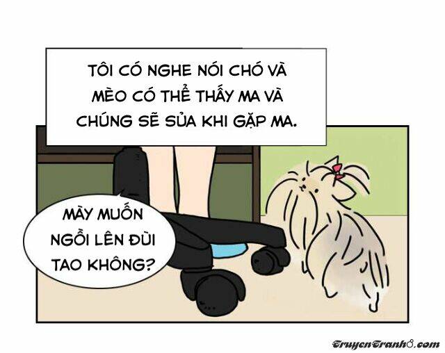 chiller chapter 37 20