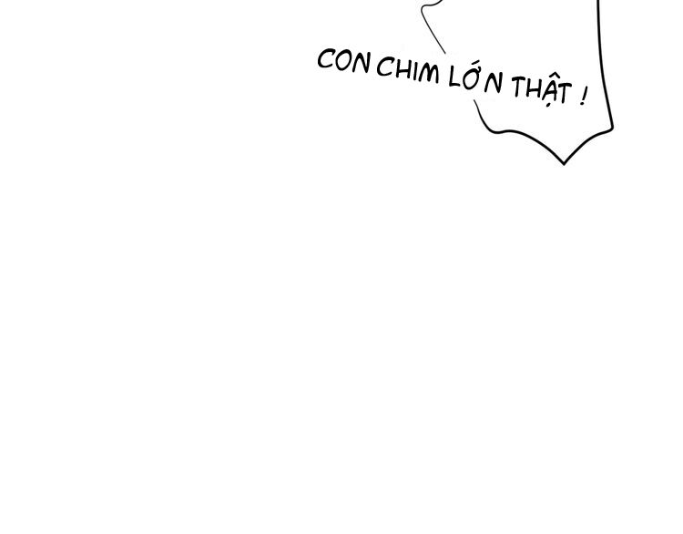 xuyên việt chi thiên tâm linh chapter 11.5 16