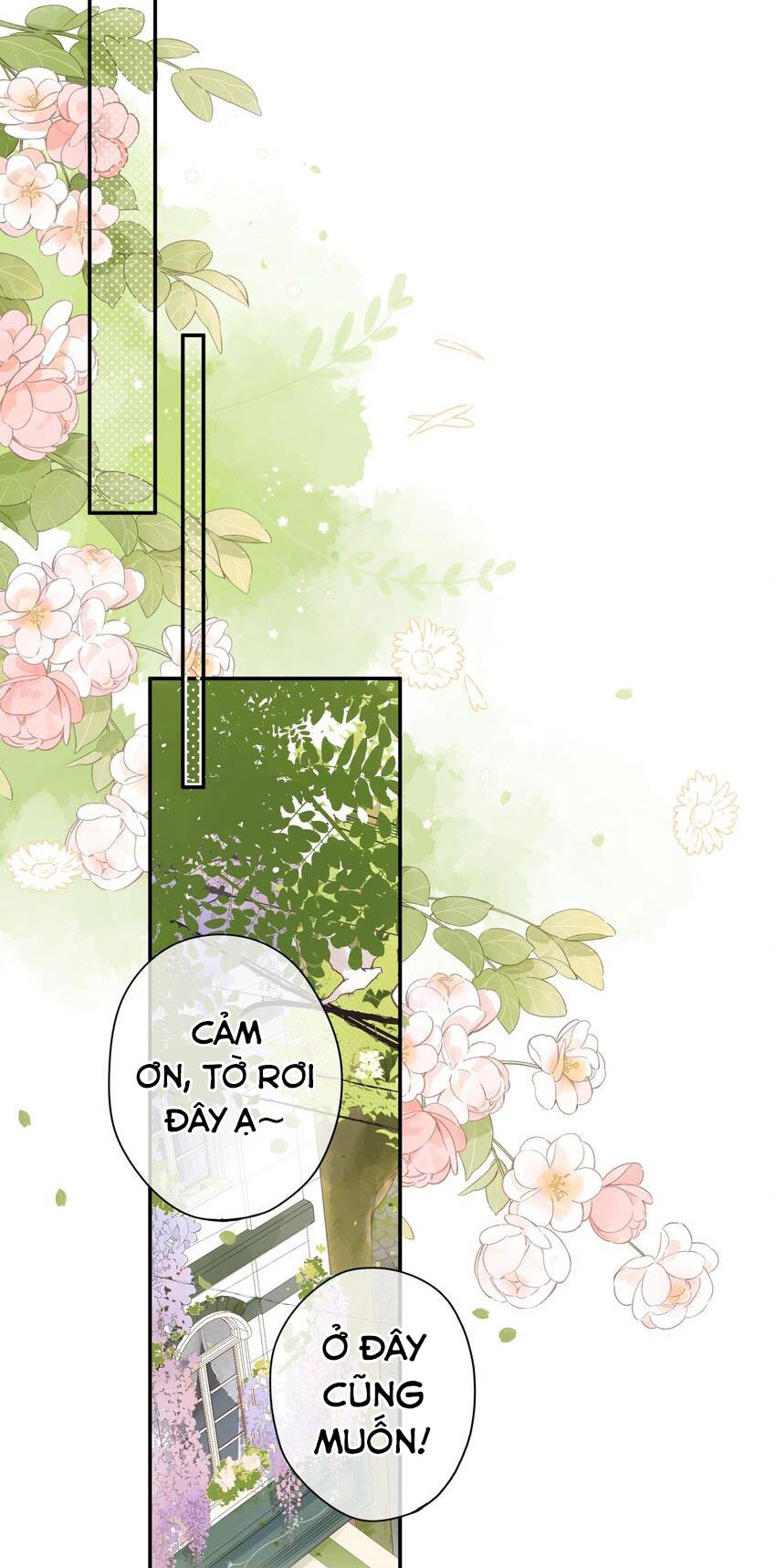 tiệm hoa hướng dương ở góc phố chapter 6 33