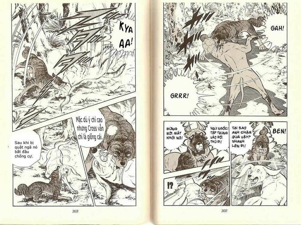 chú chó có nghĩa - ginga nagareboshi gin chapter 12 18