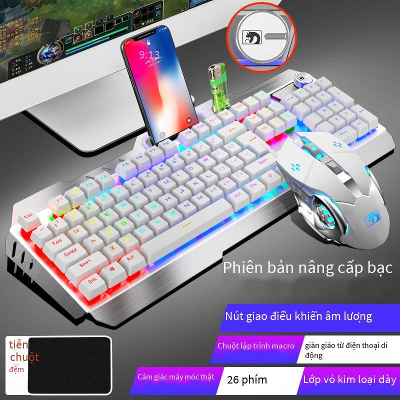 Giá thấp nhất Xinmeng Mamba con rắn điên thao túng bộ bàn phím chuột trò chơi máy tính xách tay máy tính để bàn chuột phím có dây