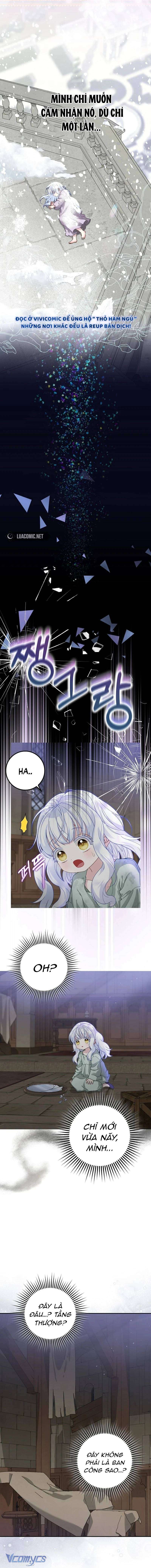 bé con báo tuyết của gia tộc báo đen chapter 1 13