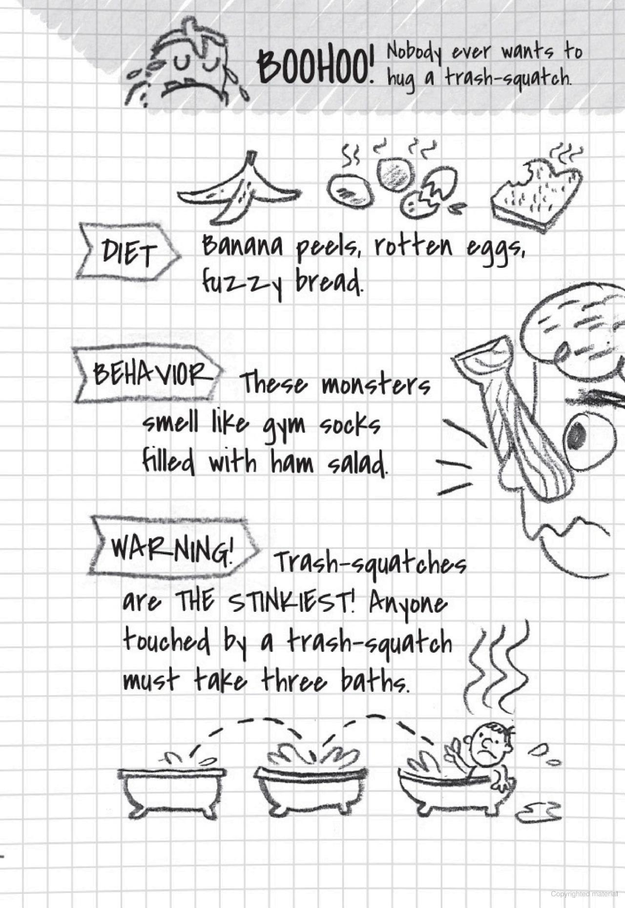 Sách ngoại văn: Charge of the Lightning Bugs: A Branches Book (the Notebook of Doom #8)