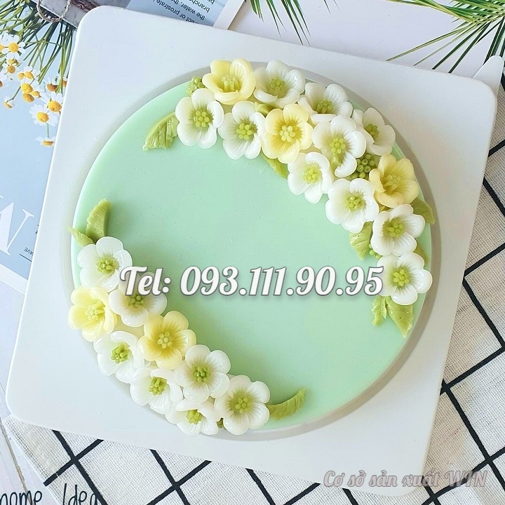 Khuôn silicon làm rau câu 6 hoa mai, hoa đào – Mã số 1299