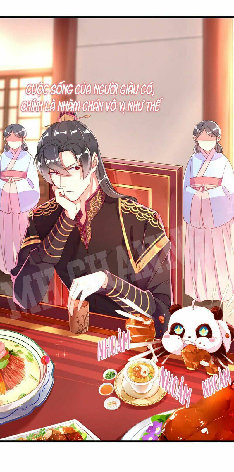 thiên thần gấu trúc muốn được ôm chapter 11 23