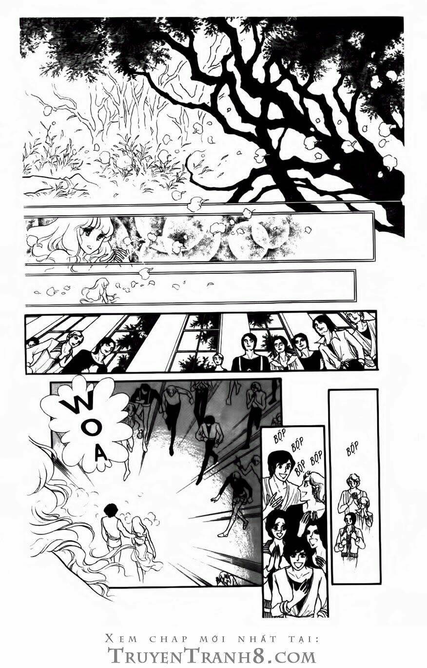 swan - vũ khúc thiên nga chapter 66 13