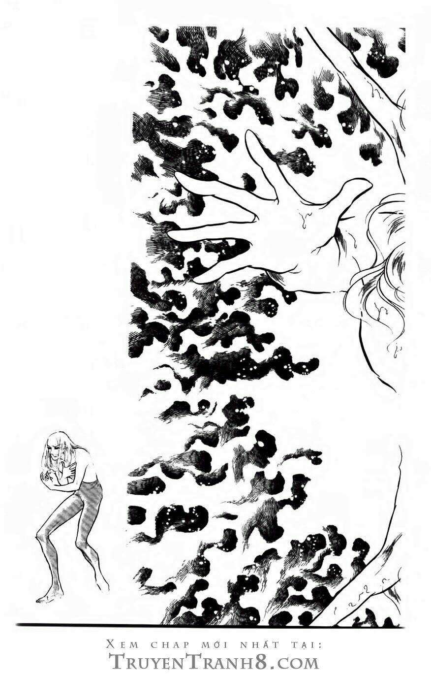swan - vũ khúc thiên nga chapter 61 13