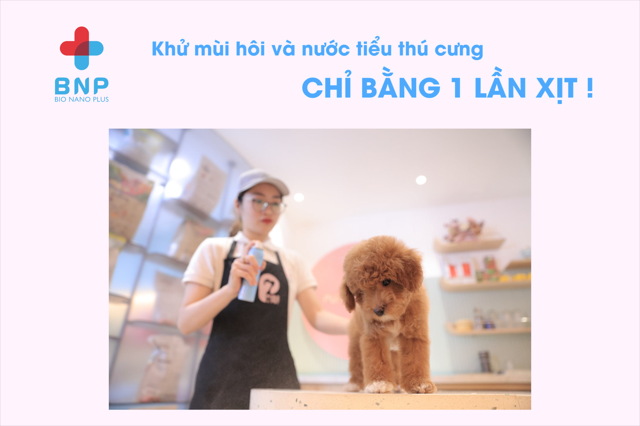 Khử mùi hôi, nước tiểu cho thú cưng BNP chai 250ml - dạng xịt phun sương - Sả chanh