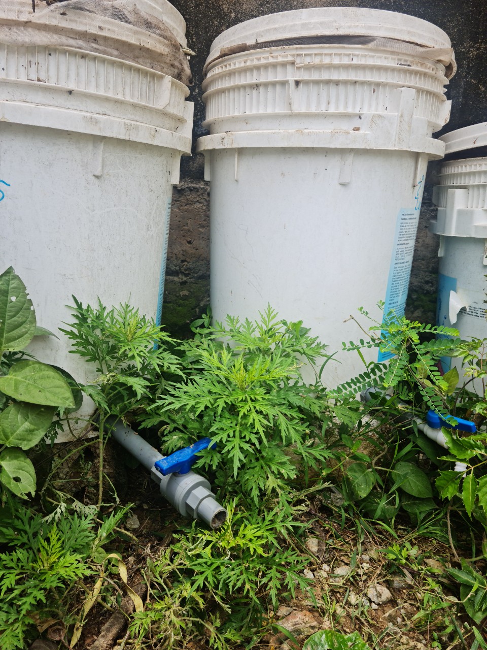 Bộ combo thùng ủ rác hữu cơ 60l siêu bền