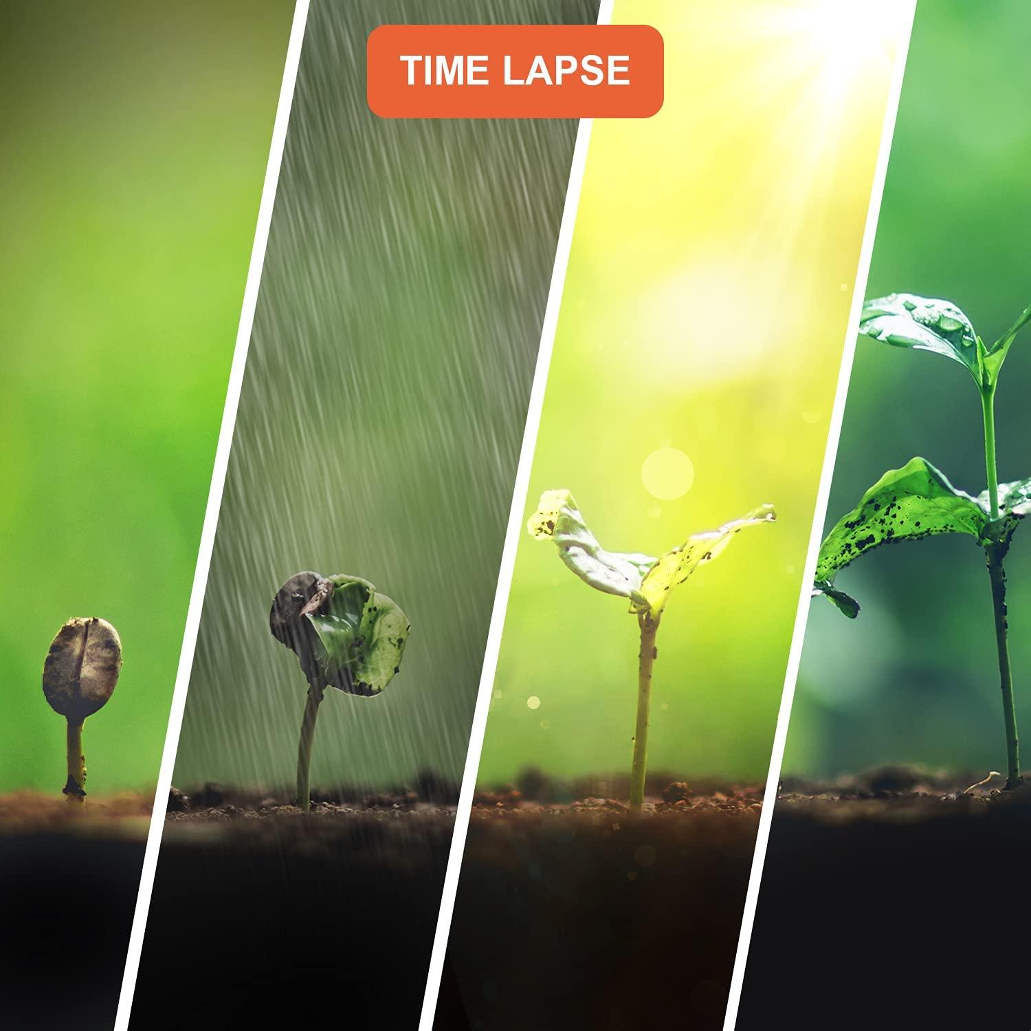 Camera TL2300 Laps thời gian 2.4 LCD LCD 1920x1080 Máy quay video Full HD