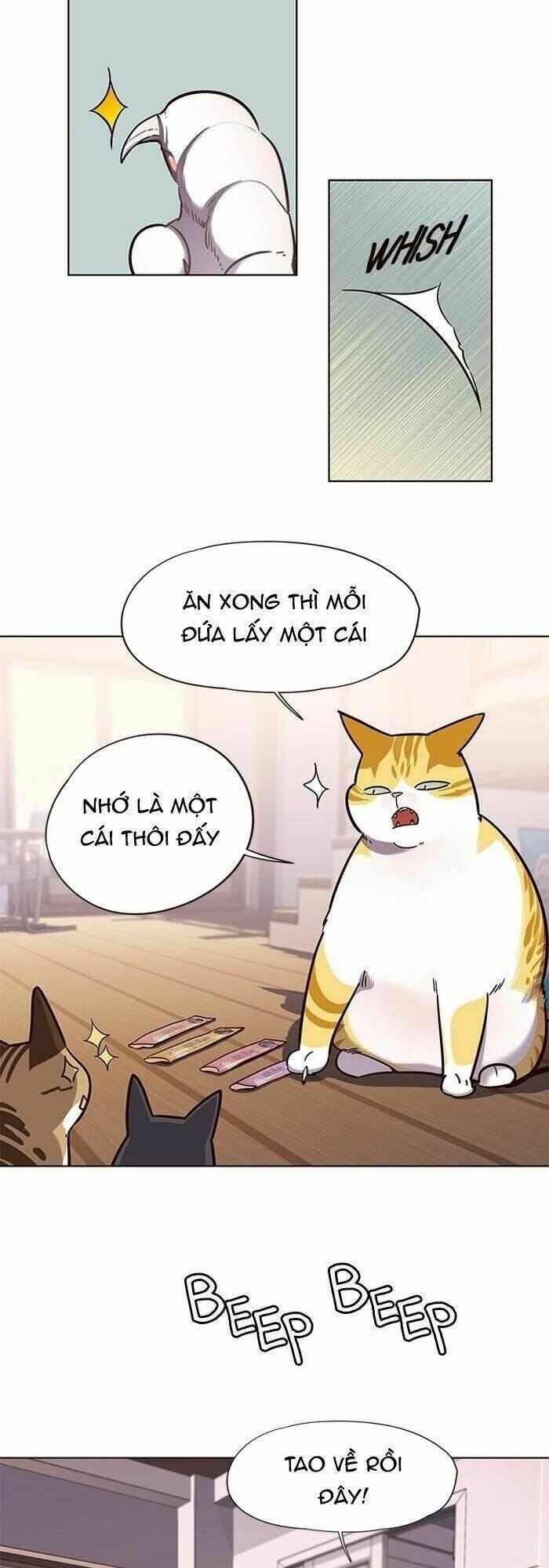 biến thân thành mèo chapter 56 43