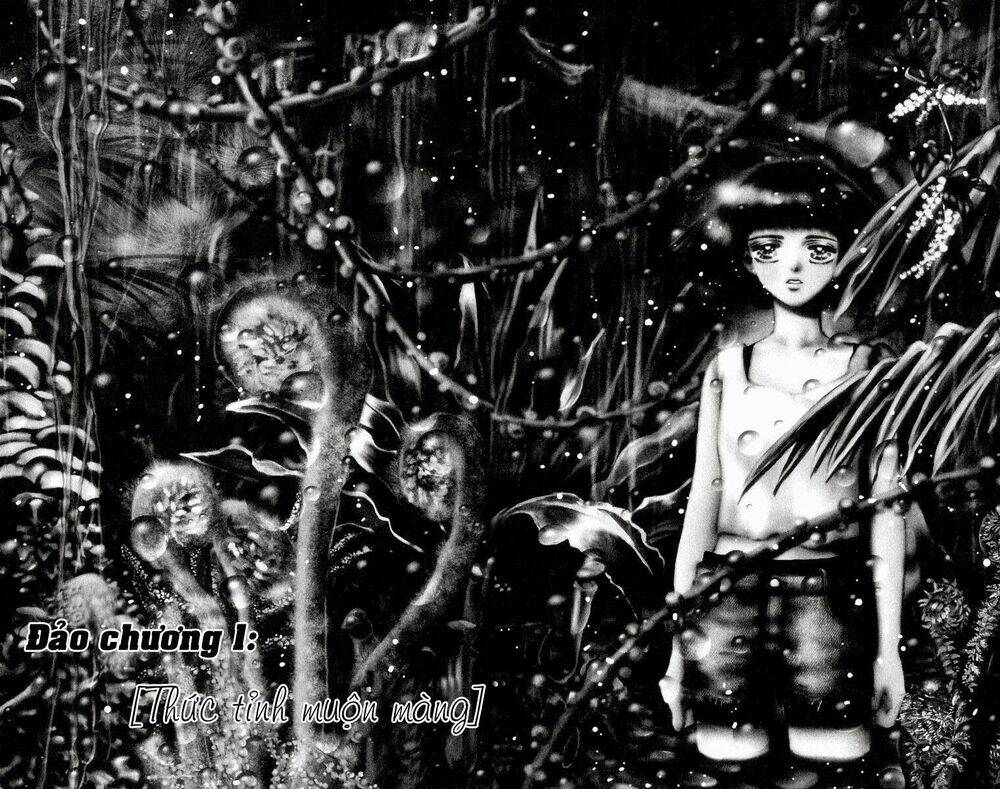 7 mầm sống chapter 1 6