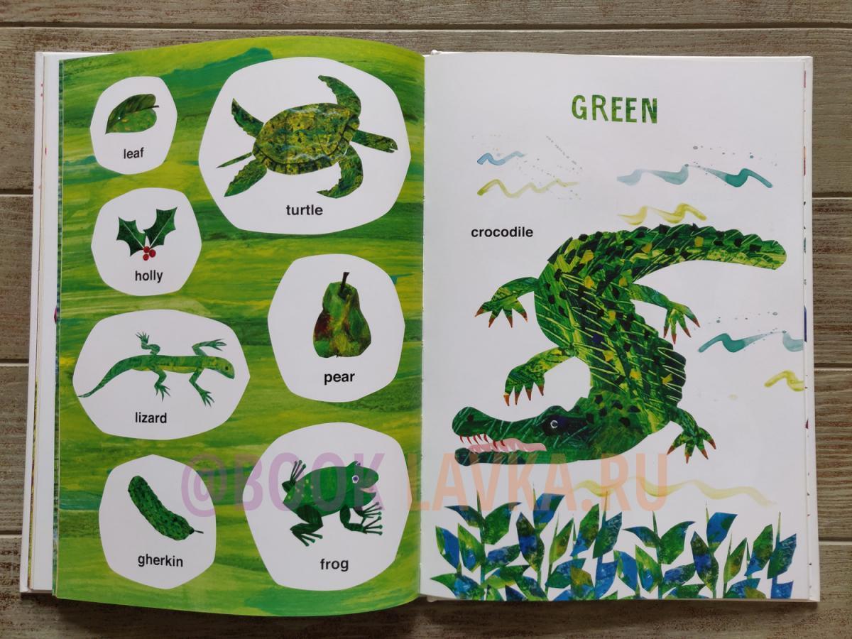 Eric Carle's Book of Many Things : Over 200 First Words