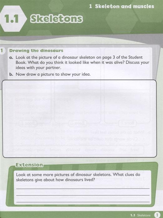 Sách ngoại văn: Max Science Primary Grade 4 Workbook