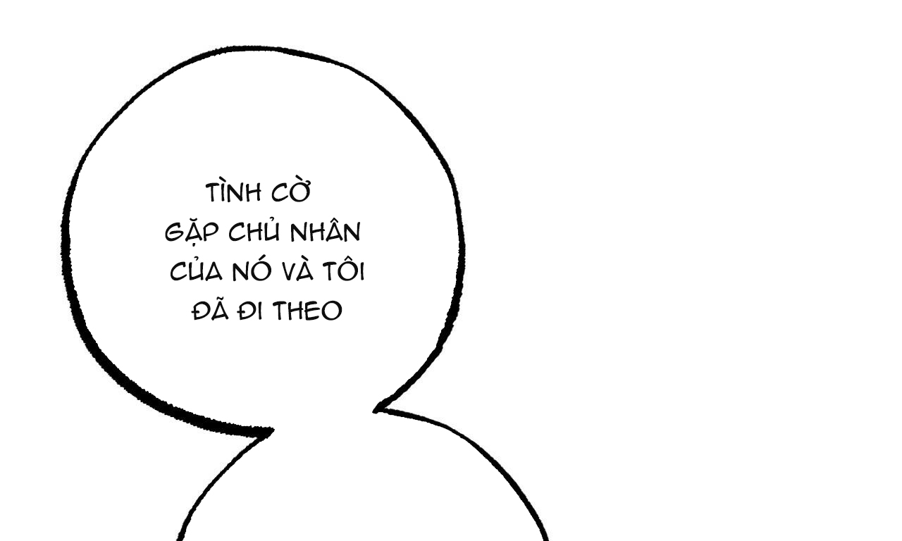 đàn thỏ của habibi chapter 44 200