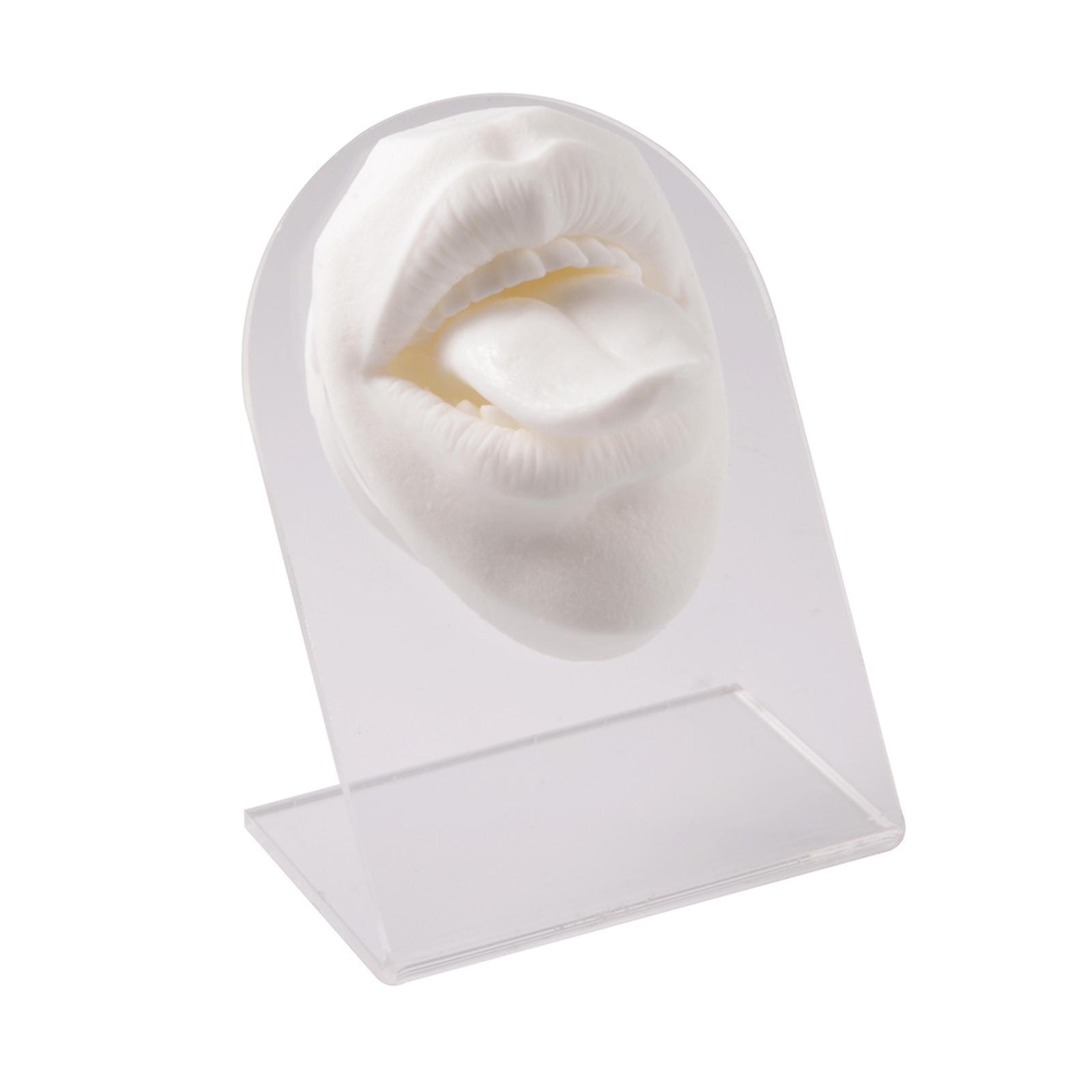 Silicone Mouth tongues Model Flexible Practice Tool Education Display