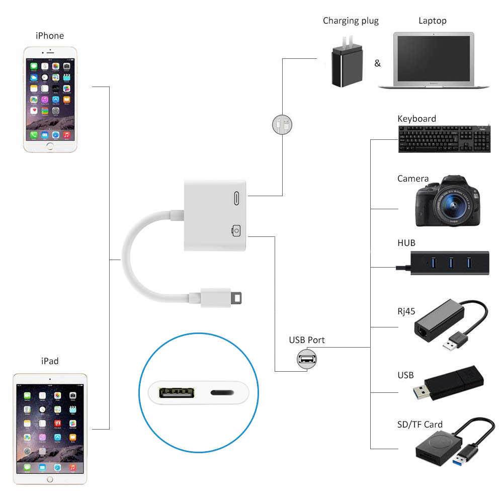 Cáp OTG Dành Cho iPhone, iPad Earldom OT43 - Hàng Chính Hãng