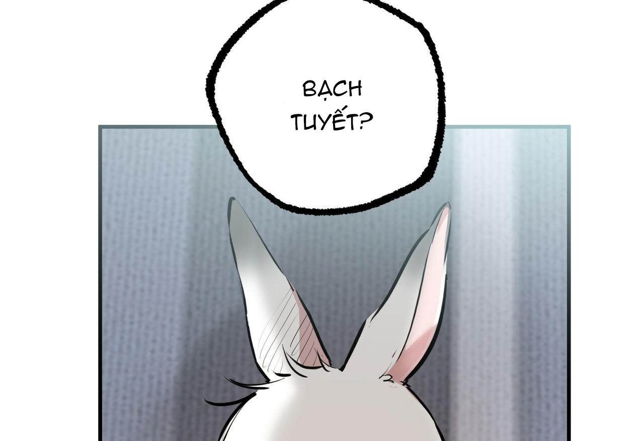 đàn thỏ của habibi chapter 28 19