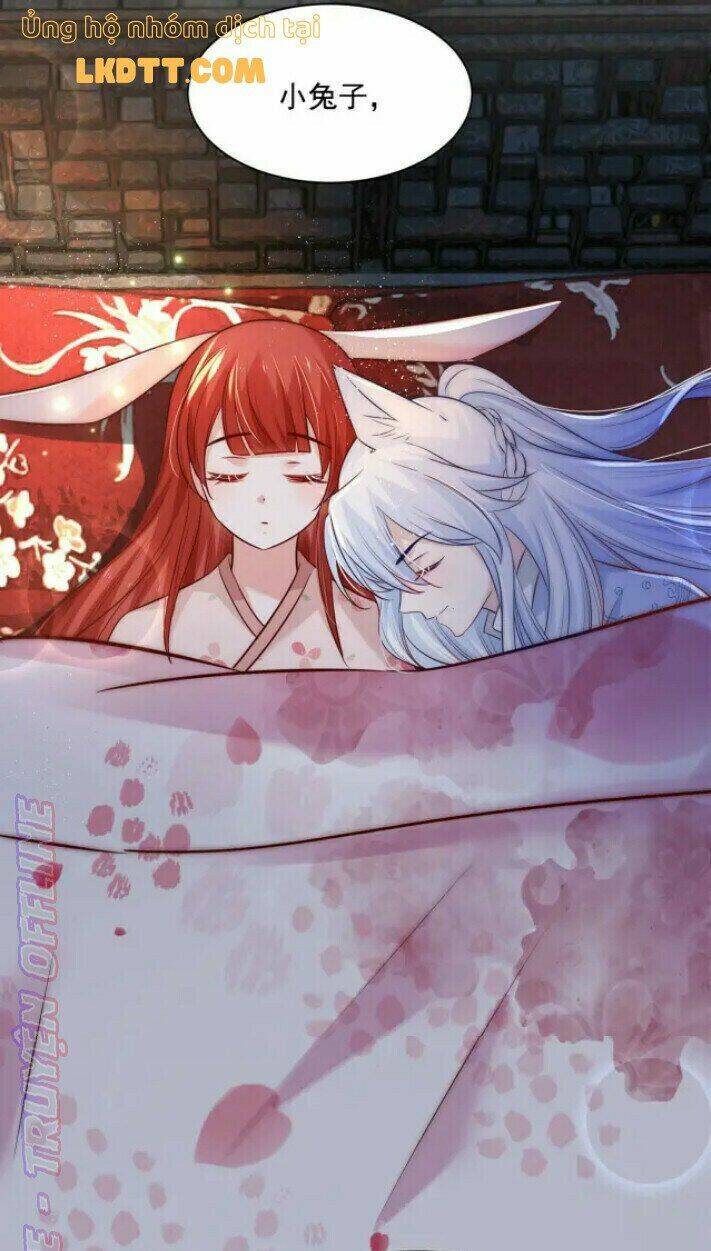 hắc hóa nam chính trực tuyến nuôi thỏ chapter 37 41