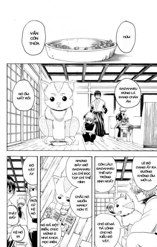 gintama - linh hồn bạc chapter 126 4
