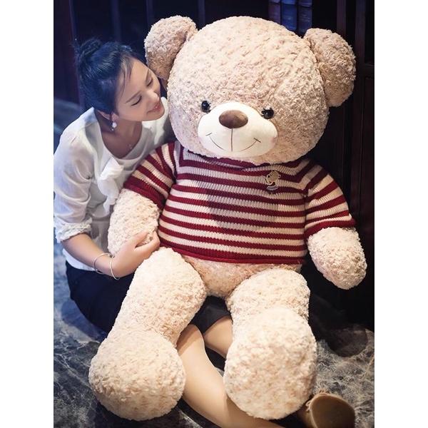 Gấu bông Teddy Baby đủ size - hàng nhập cao cấp