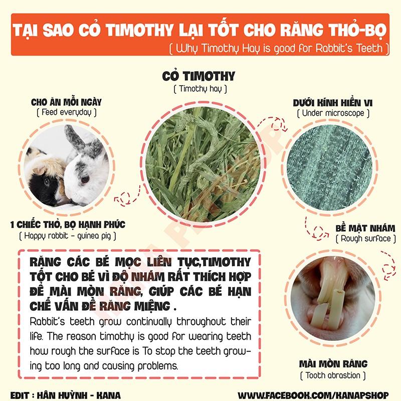 Cỏ Timothy Giảm 5k Khi Nhập Cỏ Timothy Canada cắt sẵn 3 lần Siêu Ngon Dành Cho Thỏ Và Bọ.