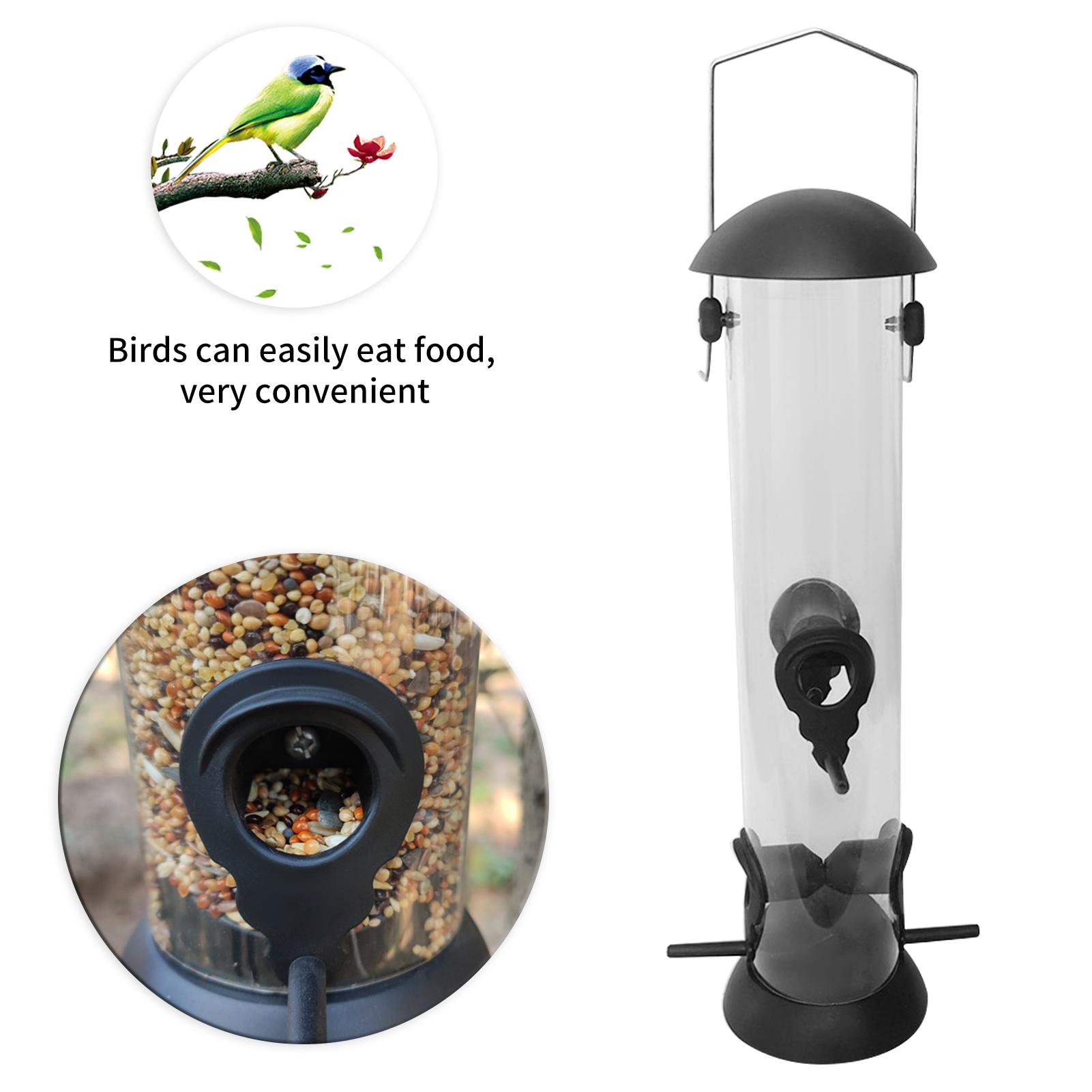 Máy cho chim ăn