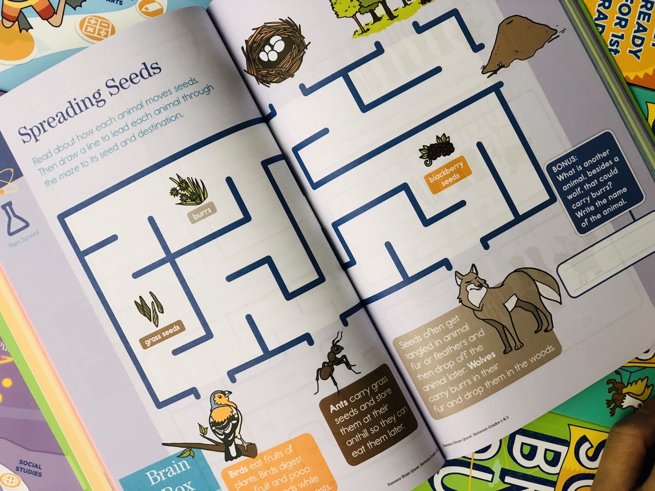 Sách summer brain quest 1&2 phát triển tư duy iq cho bé - in màu