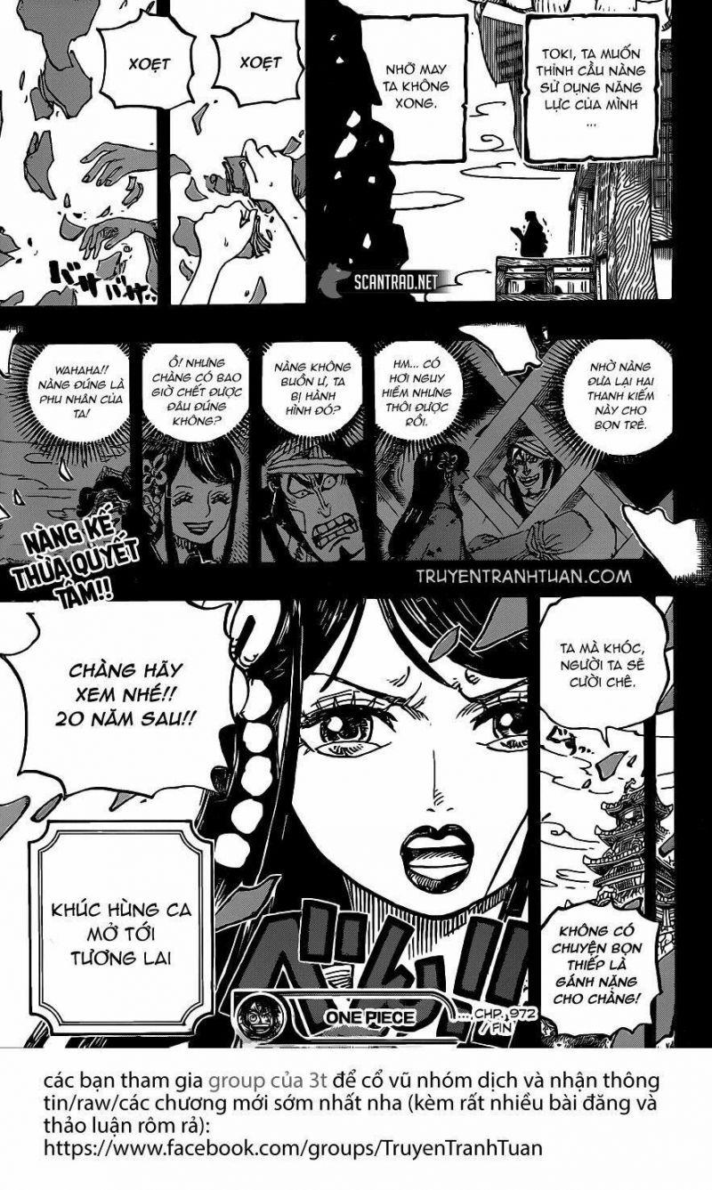 đảo hải tặc - one piece chapter 972 17