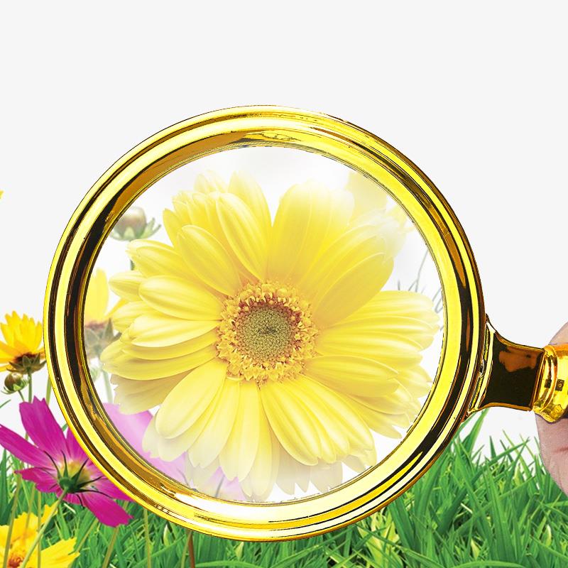 Kính lúp 5X đọc sách báo, soi mẫu vật chuyên dụng hình ảnh sắc nét cao cấp - Tặng bộ 6 con bướm dạ quang phát sáng