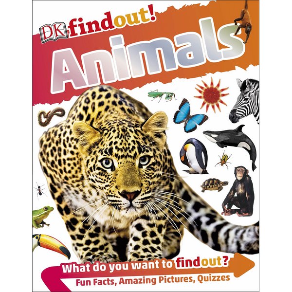 DKfindout! Animals